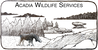 Acadia Wildlife Services